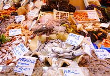 Pesce vario