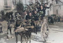 Mandorlo in fiore, foto storiche a colori
