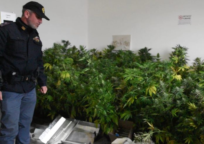 Marijuana a Palermo