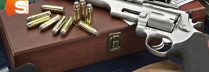 Palermitano, trovato con pistola e munizioni, condannato a 3 anni e 4 mesi.
