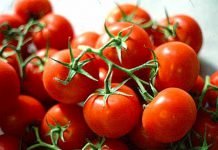 Sicilia, il pomodoro in piazza per sostenere la ricerca sui tumori infantili