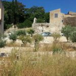 Canicattì, aree verdi abbandonate: massiccia opera di bonifica in tutto il territorio cittadino (Foto)