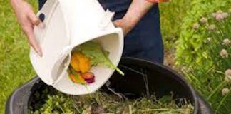 Sicilia, Regione accelera sul compostaggio domestico: “bando da 16 milioni per condomini, associazioni e aziende” Rifiuti organici, compost