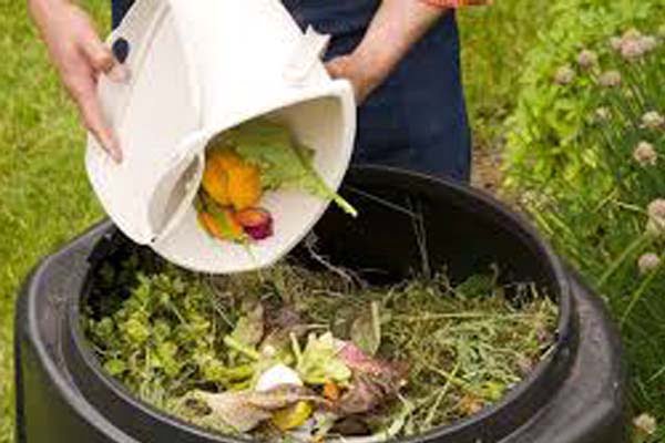 Rifiuti organici, compost Rifiuti organici, compost