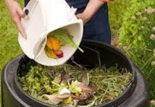 Rifiuti organici, compost