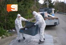 Una fase della bonifica di materiale cancerogeno