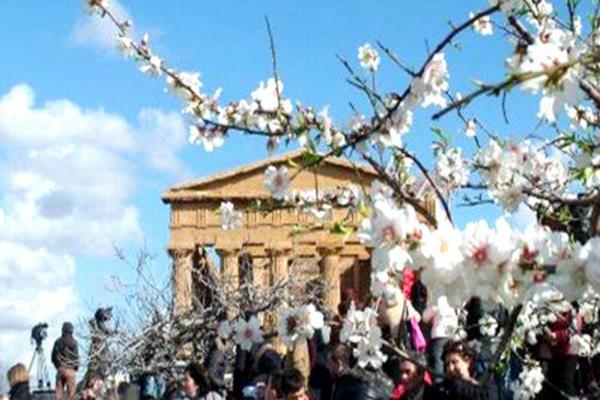 Sagra-del-Mandorlo-in-Fiore-Agrigento-625x350 (Copy)