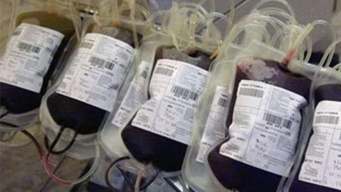 sangue