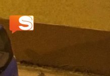 Topi in via Grmania a Canicattì