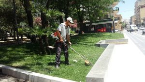 Canicattì, verde pubblico: nuovi incentivi per chi adotta un albero