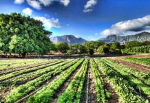 Problema rifiuti e agricoltura