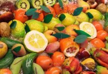 Sicilia, tendenze produttive settore agroalimentare: domani il primo report a Palermo agroalimentare