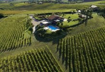 Vittoria, dopo atti di vandalismo imprenditrice vinicola si sfoga:”dobbiamo difendere la nostra terra”