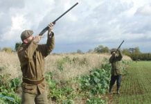Sicilia, scoperti a cacciare in zone protette: denunciati 7 cacciatori
