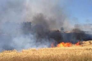 Canicattì, incendiato terreno di cooperativa "Lavoro e non solo": la solidarietà dell'Amministrazione comunale