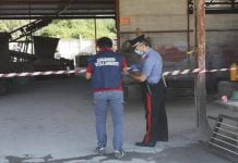 Messina, controlli dei Carabinieri su due aziende: denunciati i titolari per violazione ambientali