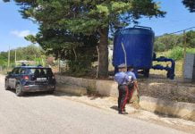 Messina, servizi di contrasto ai reati ambientali nell’area del Parco dei Nebrodi: 4 denunce