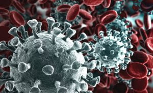 Sicilia, emergenza Coronavirus: i dati per province corona virus