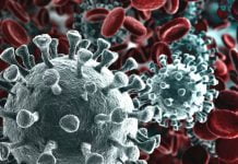 corona virus
