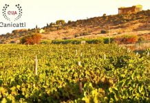 Canicattì, oggi e domani si festeggiano i 50 anni di Cva