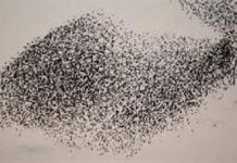 Sicilia, aggredito da uno sciame di vespe: deceduto 54enne