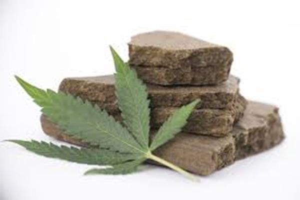 hashish
