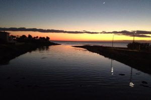 Agrigento, uccelli e pesci morti alla foce del fiume Akragas