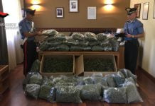 Naro, blitz dei carabinieri: sequestrate oltre trenta tonnellate di “Marijuana”, trovata anche una pistola (Foto e video)