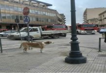 Canicattì, incendio banca Monte dei Paschi di Siena