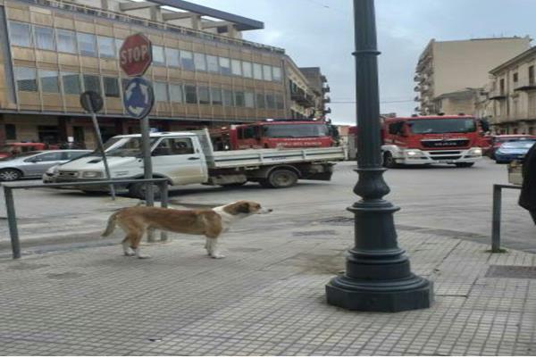 Canicattì, paura alla monte dei Paschi di Siena: incendio divampa nella banca(Foto)