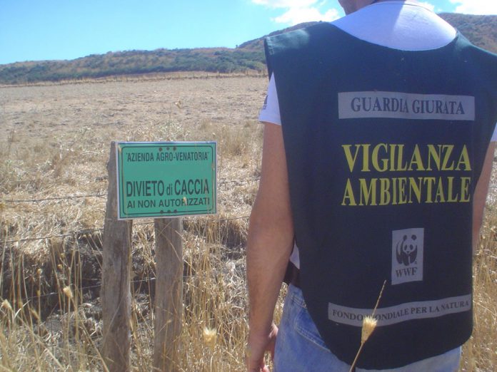 Guardie giurate wwf