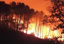 C’è poco personale, a rischio la campagna antincendio nel Messinese