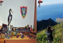 Messina, salvaguardia della fauna: i controlli dei gruppi carabinieri Soarda, Forestali e Cities