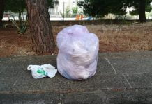 Sporcizia in via della Costituzione