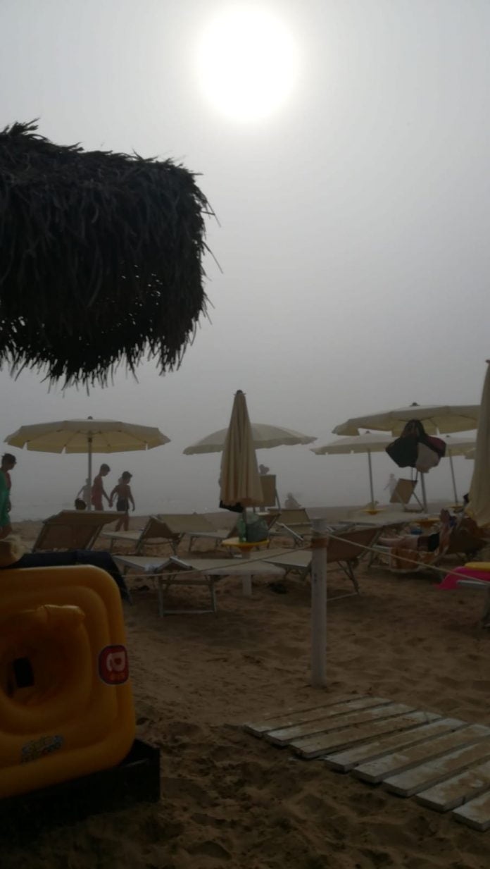 Mollarella, lupa di mare