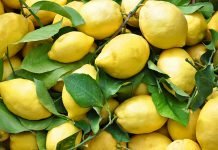 Furto di limoni