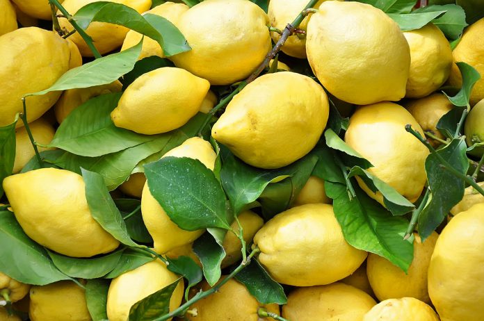 Furto di limoni