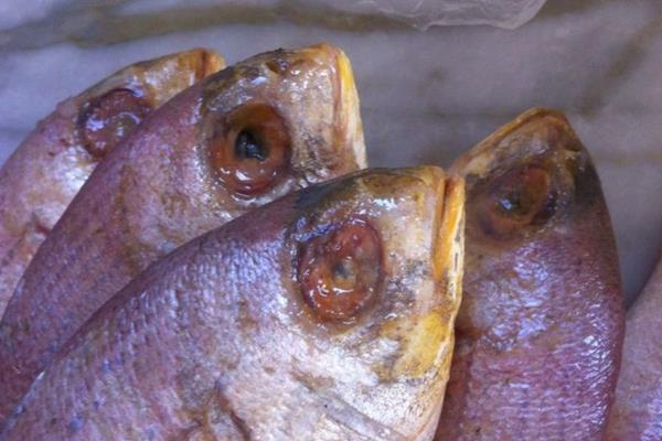 pesce avariato