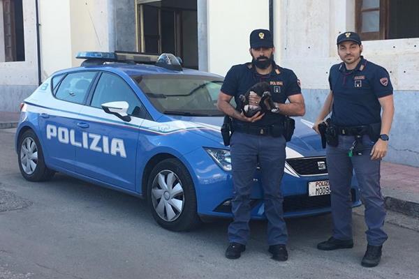 polizia-Copy-2
