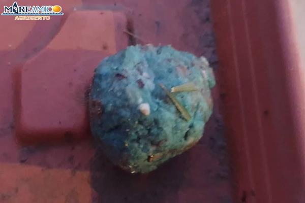 polpetta-avvelenata-Copy