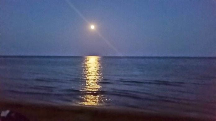 San Leone. sesso-in-spiaggia