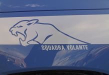 Squadra volante polizia