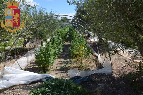 Agrigento, contrasto allo spaccio: arrestata copia di coniugi