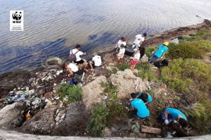 Licata, i volontari del WWF ripuliscono l'area di nidificazione del Fratino Licata, i volontari del WWF ripuliscono l'area di nidificazione del Fratino