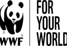 Gela, incendio raffineria: esposto del WWF