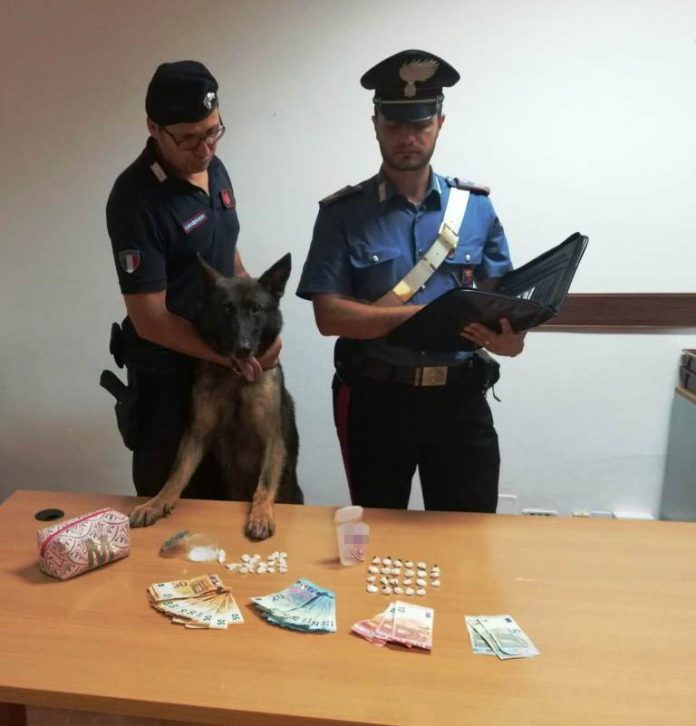Palermo cane ron unità cinofile