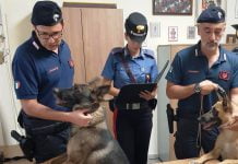 Palermo spacciava ai domiciliari