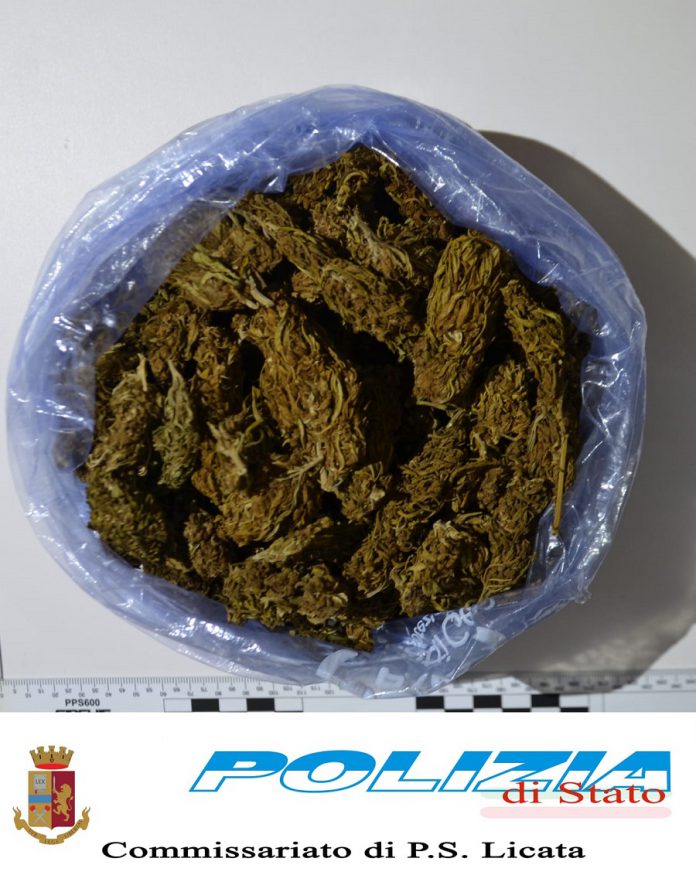 PHOTO-2020-11-30-20-22-52