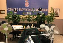 Ragusa, coltivavano marijuana in casa: arrestati dai carabinieri