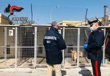 Canicattì, i Nas sequestrano il canile: riscontrate diverse irregolarità